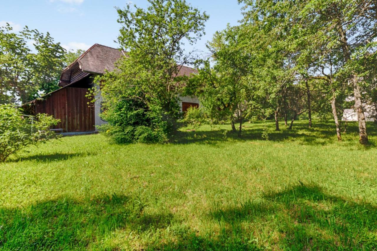 Studio Serena - Welkeys Annecy Exteriér fotografie